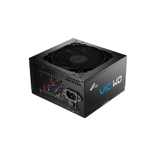 FSP VIC WD 550W 80 PLUS WHITE - DIRECT CABLE